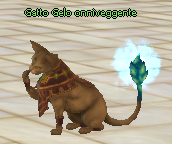 Pet gatto gelo.png